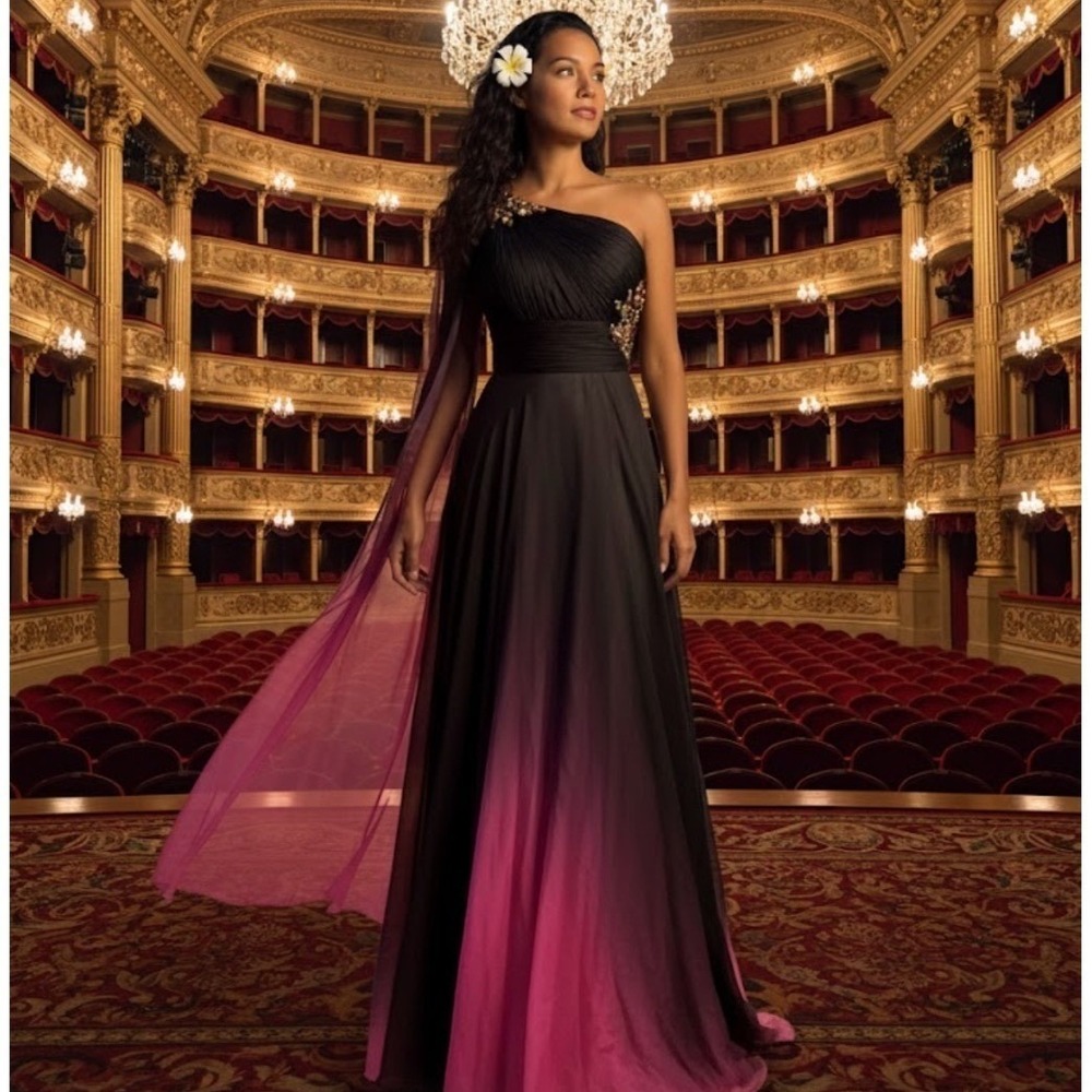 Nina Canacci Black Fuschia Ombre One Shoulder Gown Beaded Embellished Size 2